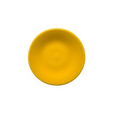 Retired Fiesta 3 Inch Magnet Mini Dinner Plate